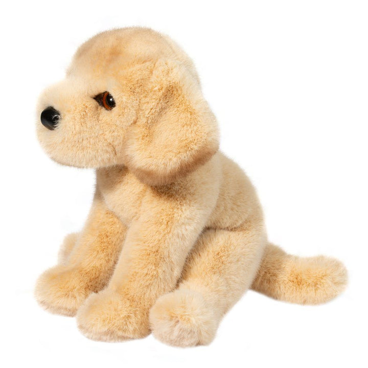 Ace the Yellow Lab