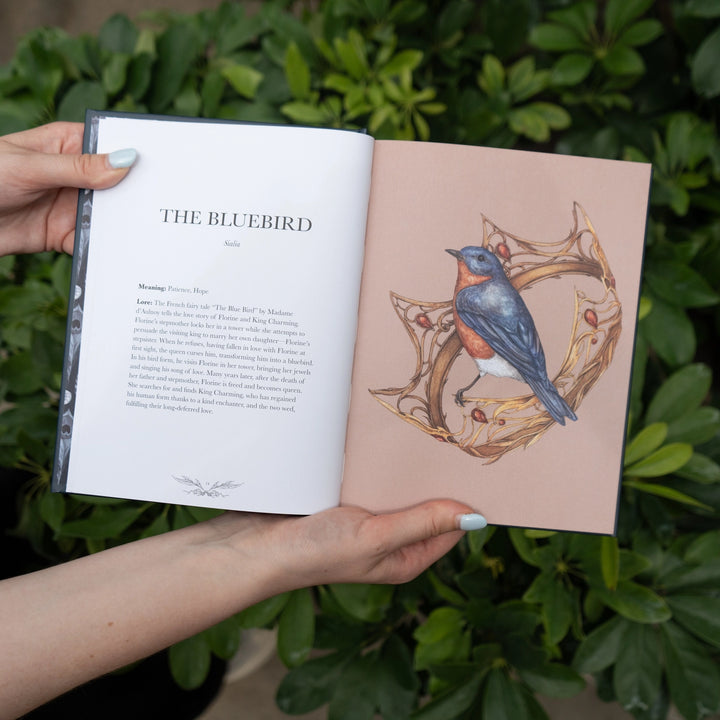 Ornithography