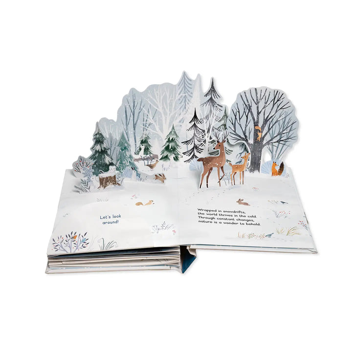Little Book of Snow Kids Pop-Up Book