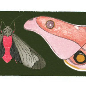 Pink & Green Moth Washi Tape