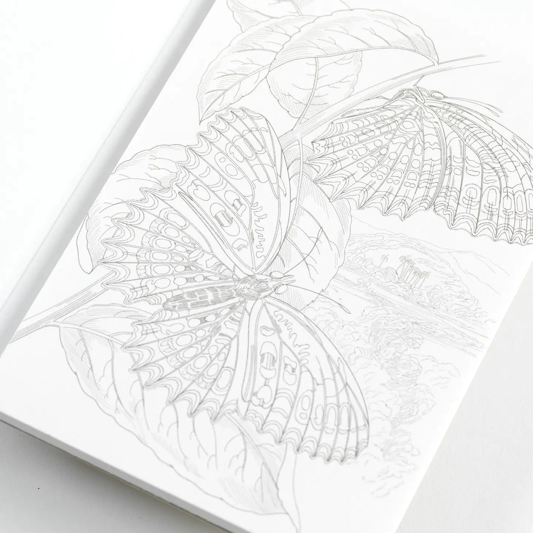 Natural History Postcard Book