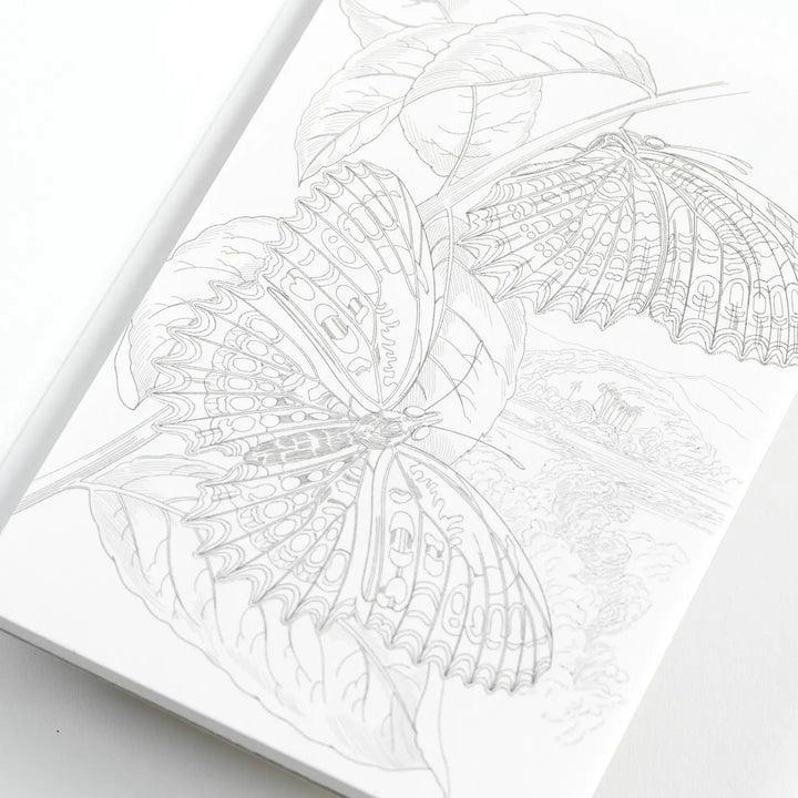 Natural History Postcard Book