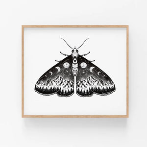 Mountain Moth Art Print - 8 x 10"