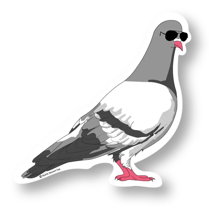 Pigeon Sticker - Vinyl Sticker