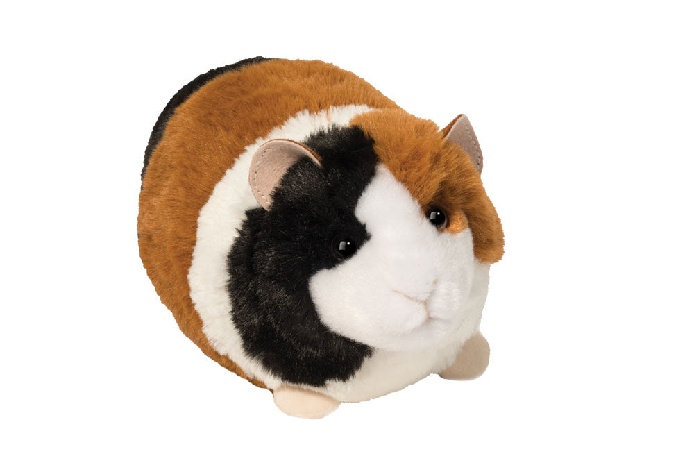 Pippin the Guinea Pig