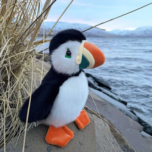 Diver the Puffin