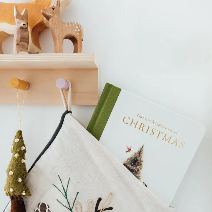 Our Little Adventure at Christmas