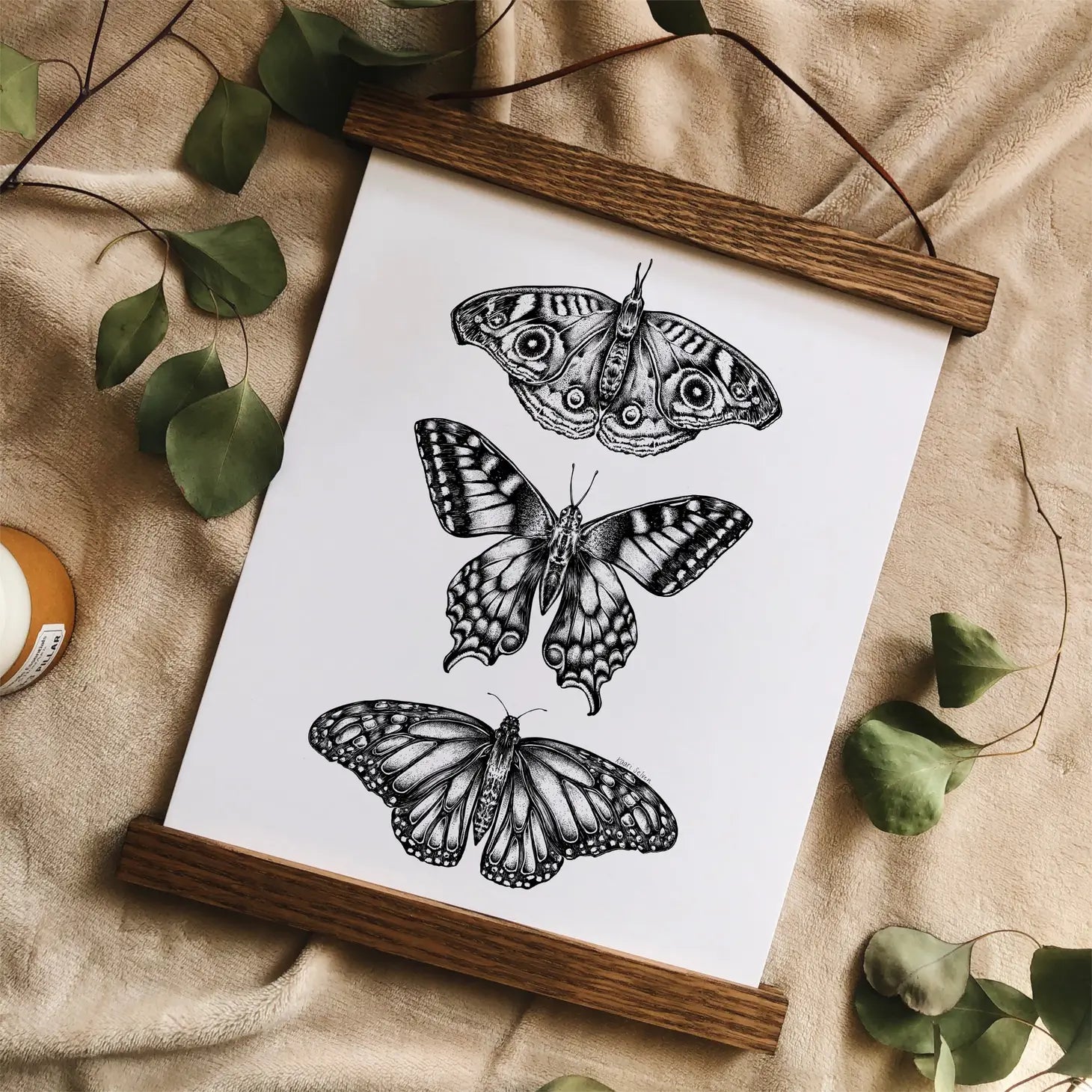 Three  Butterflies Art Print - 8 x 10"