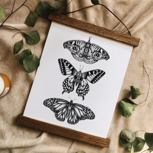 Three  Butterflies Art Print - 8 x 10"