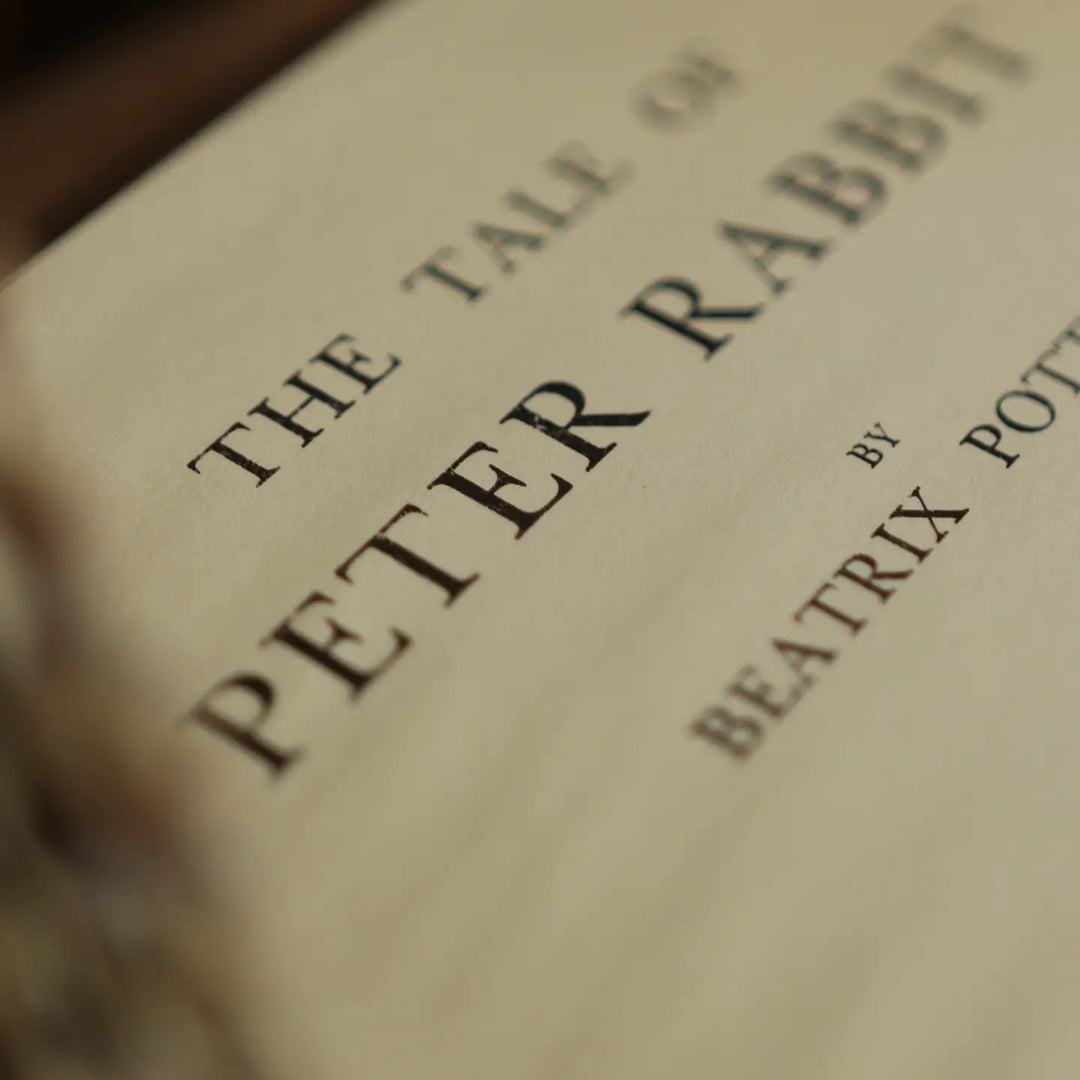 The Tale of Peter Rabbit by Beatrix Potter 1902 Book Journal