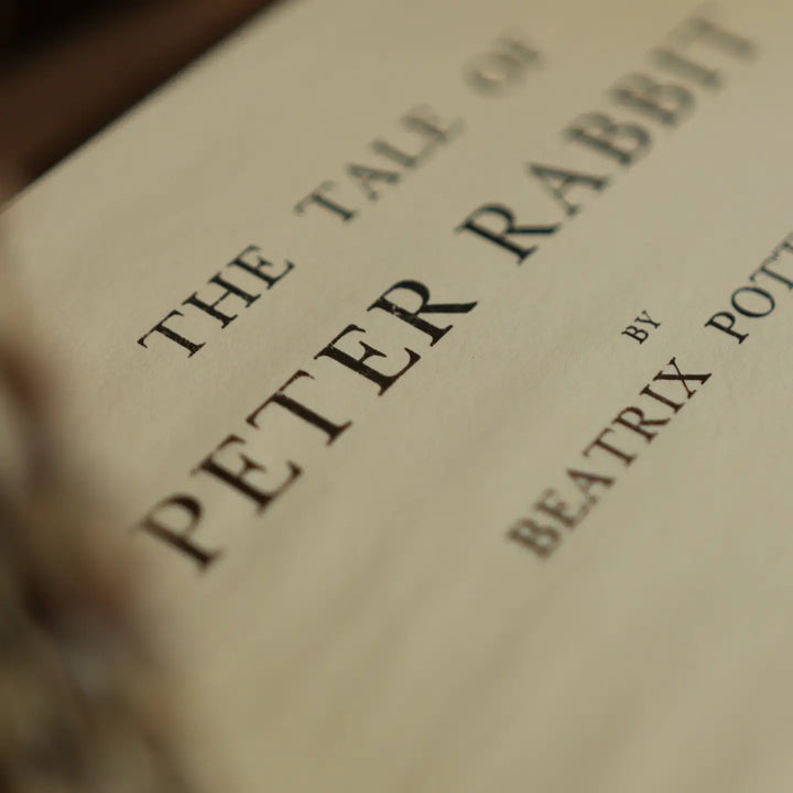 The Tale of Peter Rabbit by Beatrix Potter 1902 Book Journal