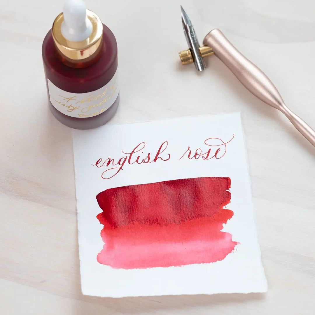 Tom's Studio Calligraphy Ink - English Rose