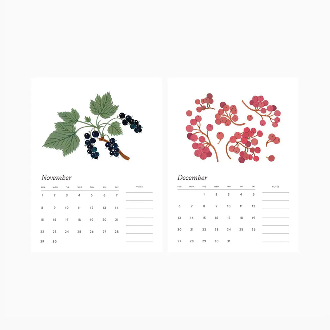 Botanical Art Desk Calendar 2026