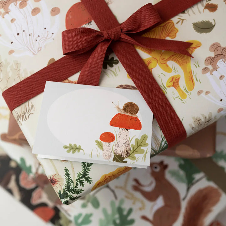 Snail Mini Boxed Cards (Set of 8)