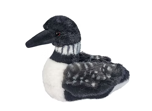 Loonie the Mini Soft Loon – Hitchcock Paper Co.