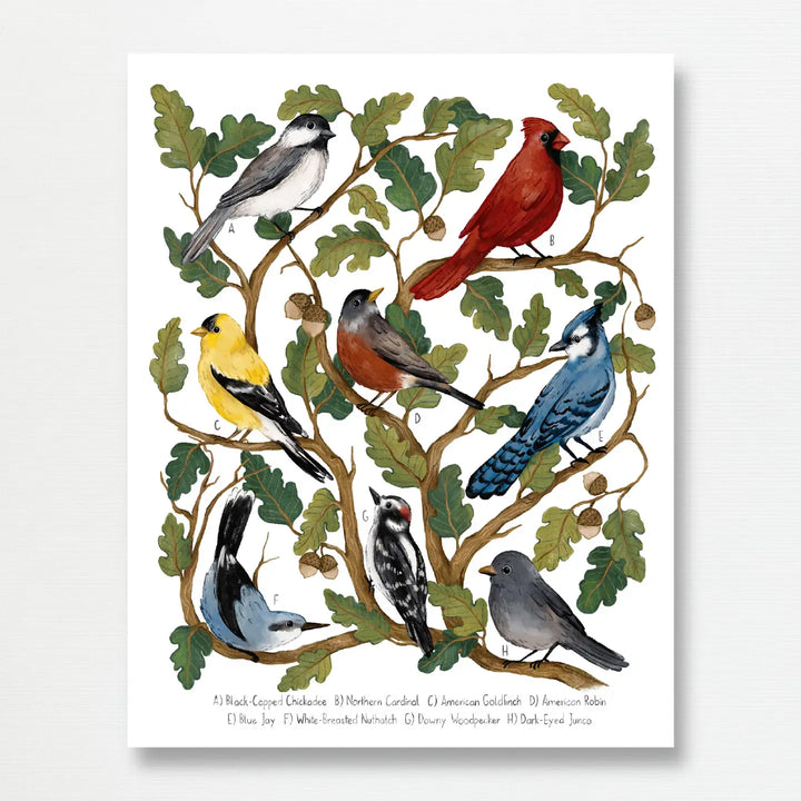 Backyard Birds Art Print