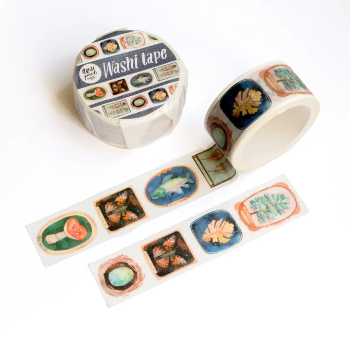 Washi Tape — Museum