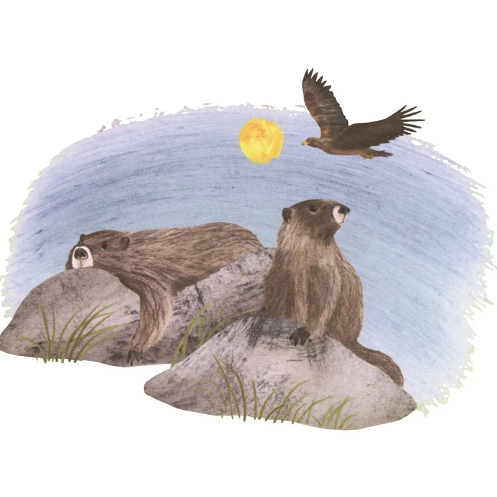 Explore! America's Wildlife