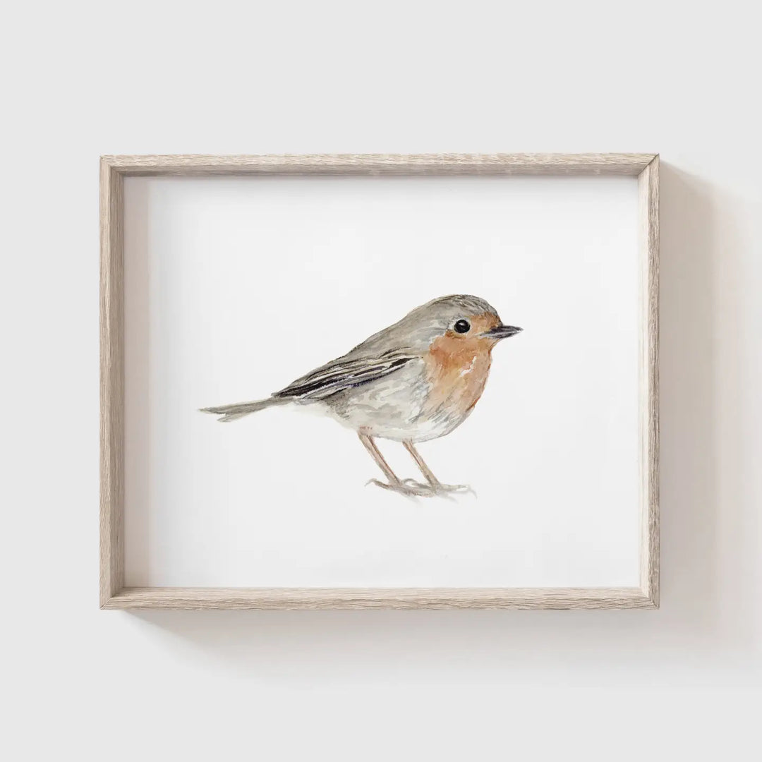 Robin Art Print