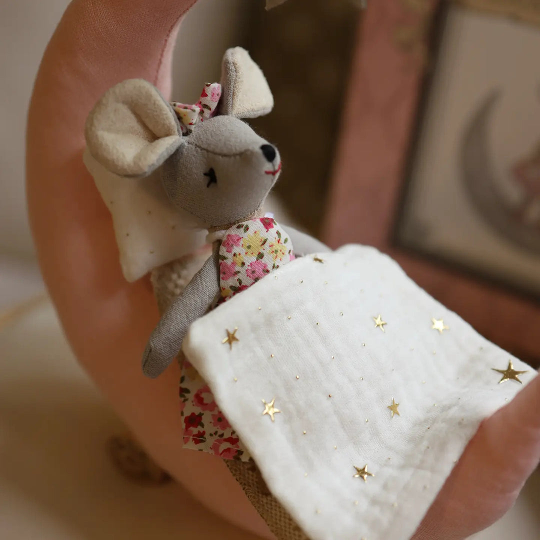 Mouse and the Moon Sweet Dreams Mouse