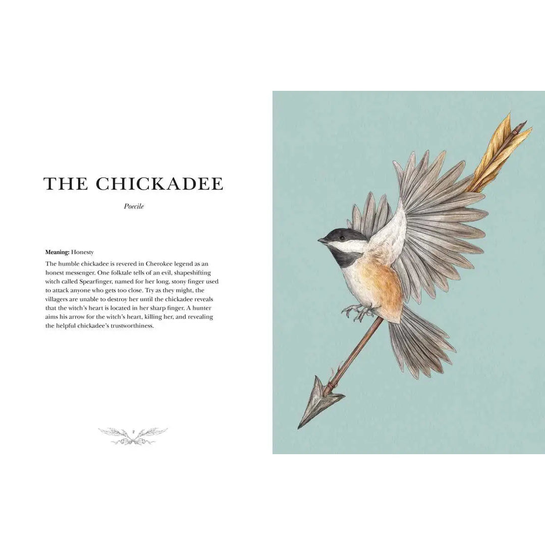 Ornithography