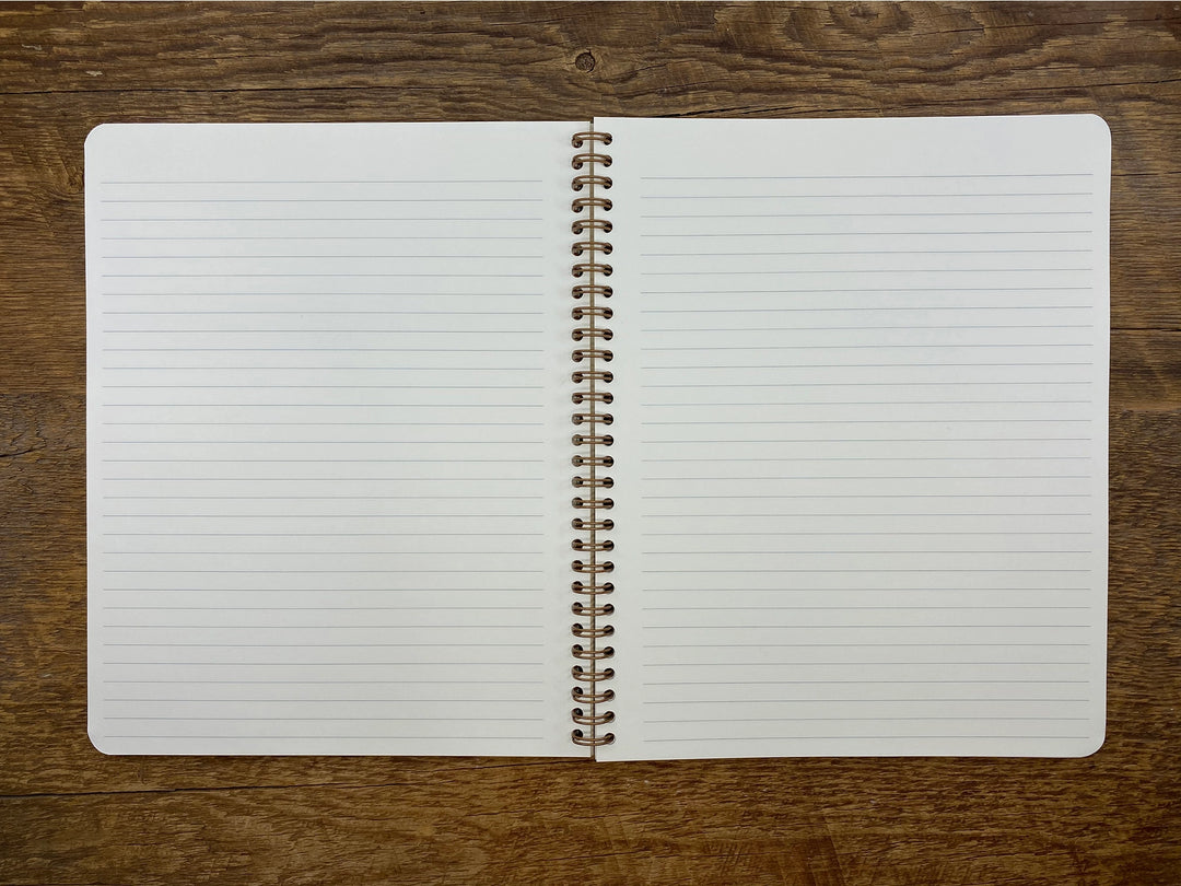 Desert Notebook