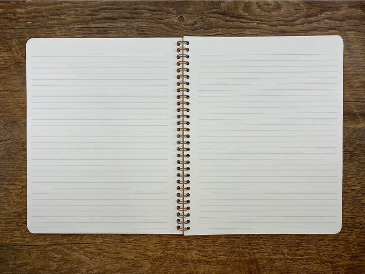 Desert Notebook