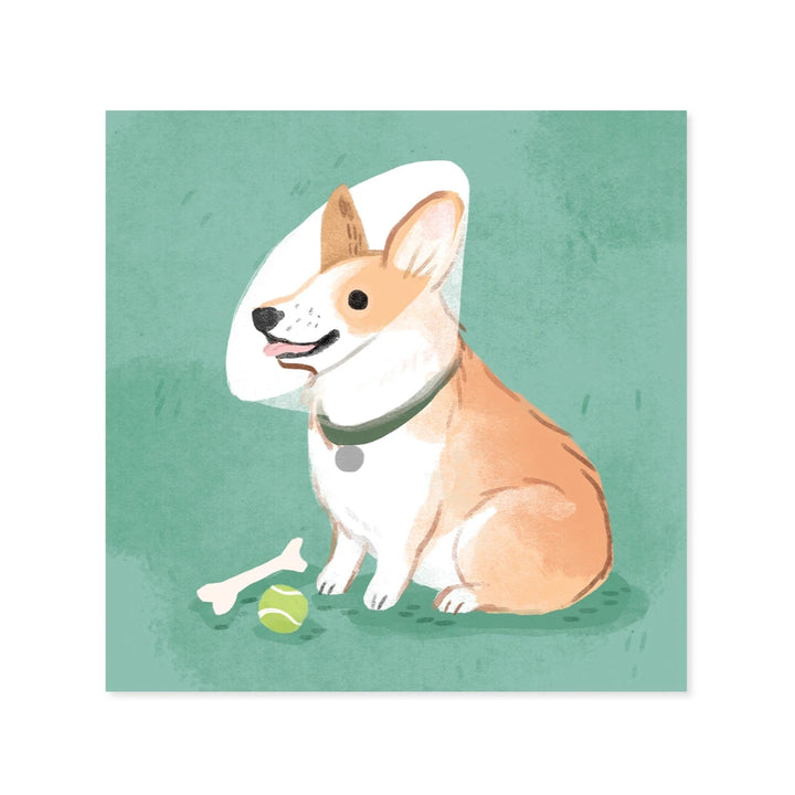 Get Well Dogs Treasures Pop-up Card