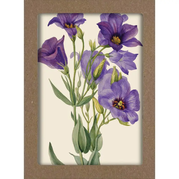 Smithsonian Wildflower Notecard Set (Box of 8)