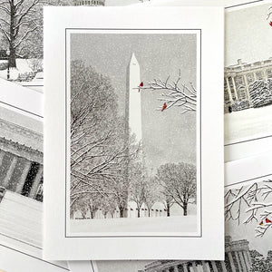 Washington DC Holiday Greeting Card Assortment (Set of 10)