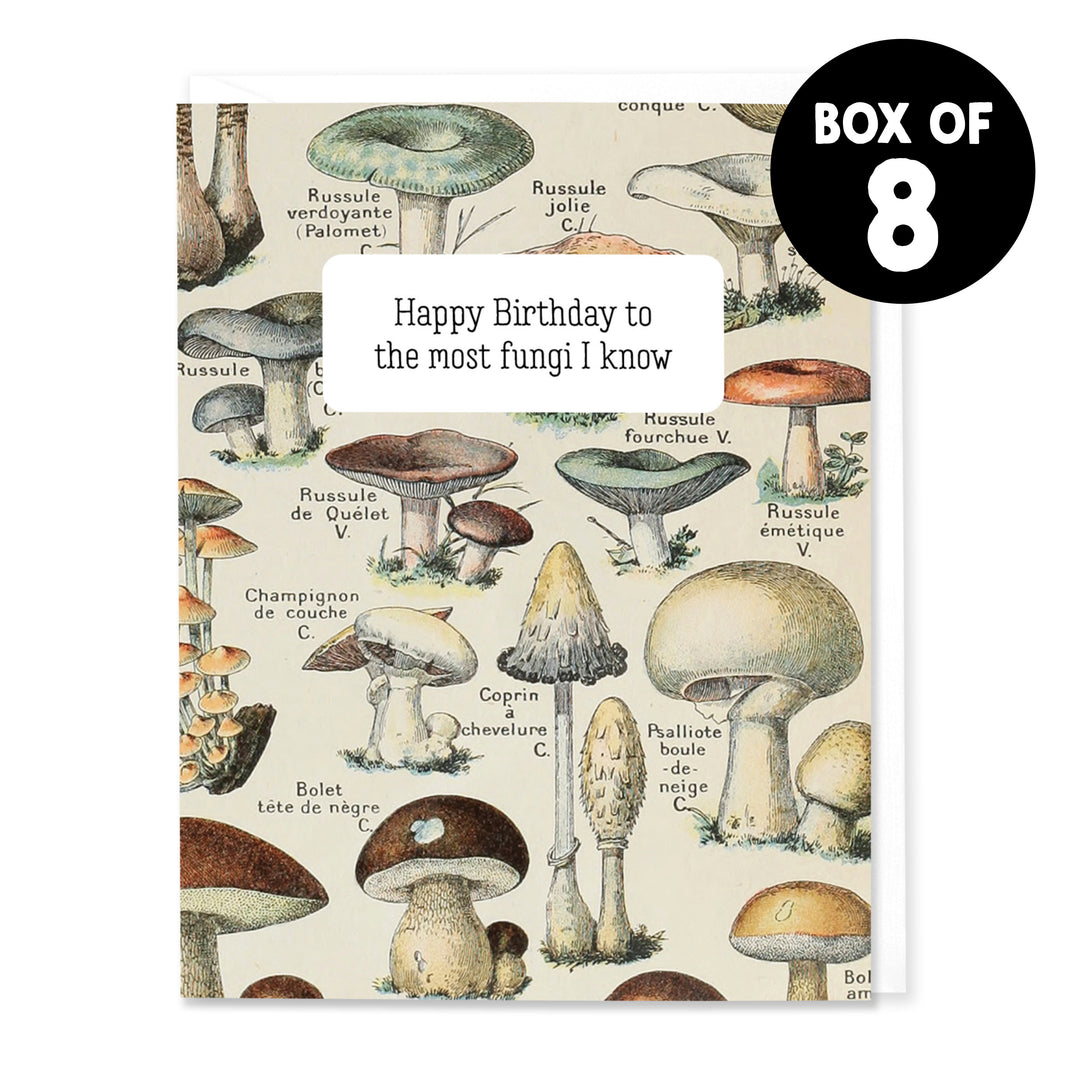 Most Fungi I Know Birthday Card (Set of 8)