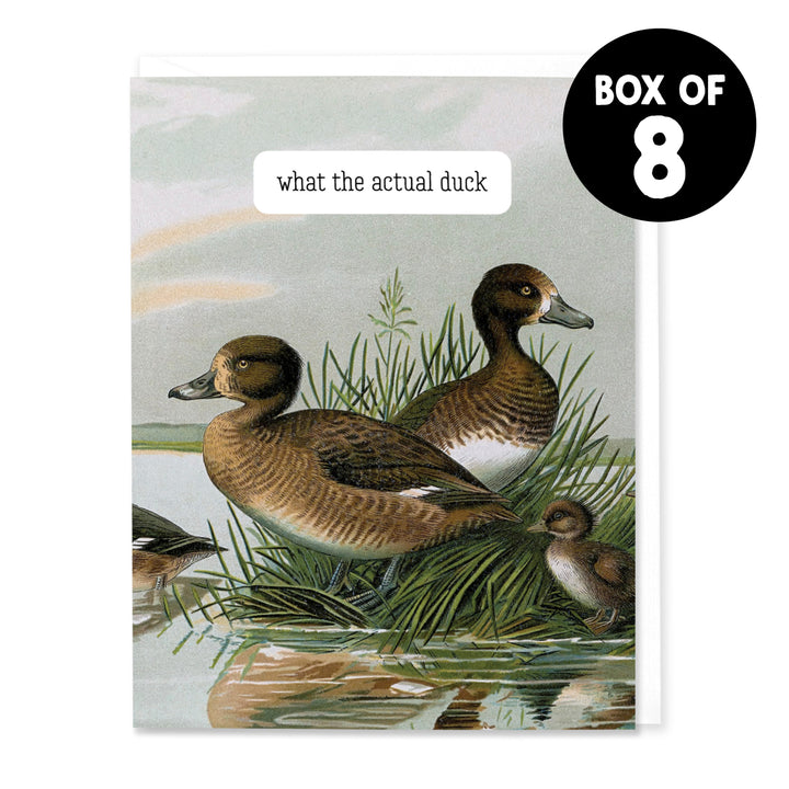 What the Actual Duck Card (Set of 8)
