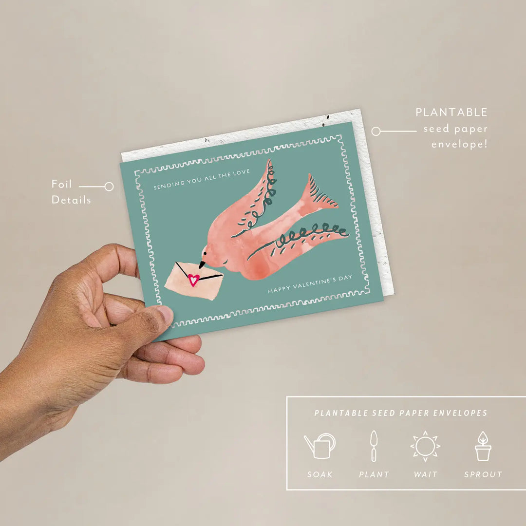 Dove Valentine's Card