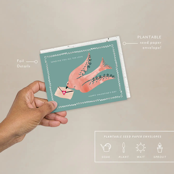 Dove Valentine's Card