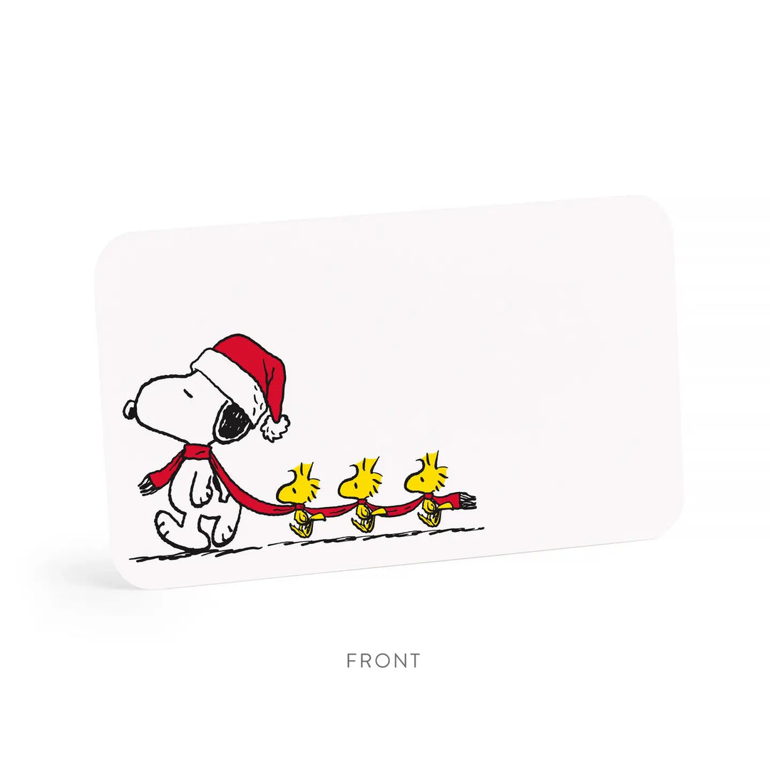 E. Frances X Peanuts - Snoopy Long Scarf Little Notes