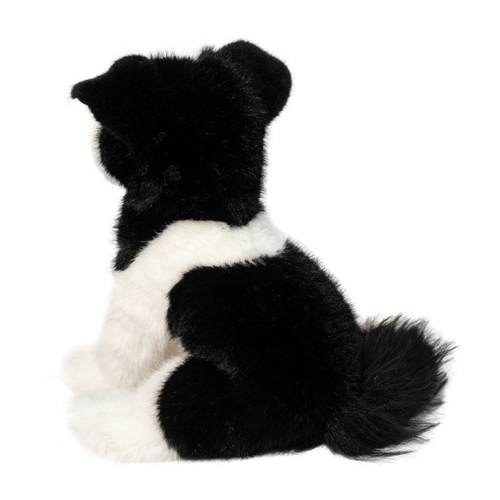 Herdie the Soft Border Collie