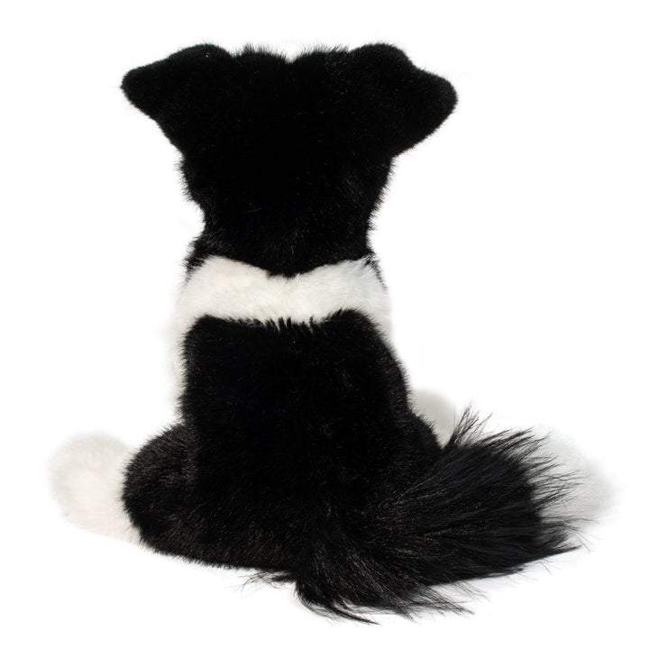 Herdie the Soft Border Collie