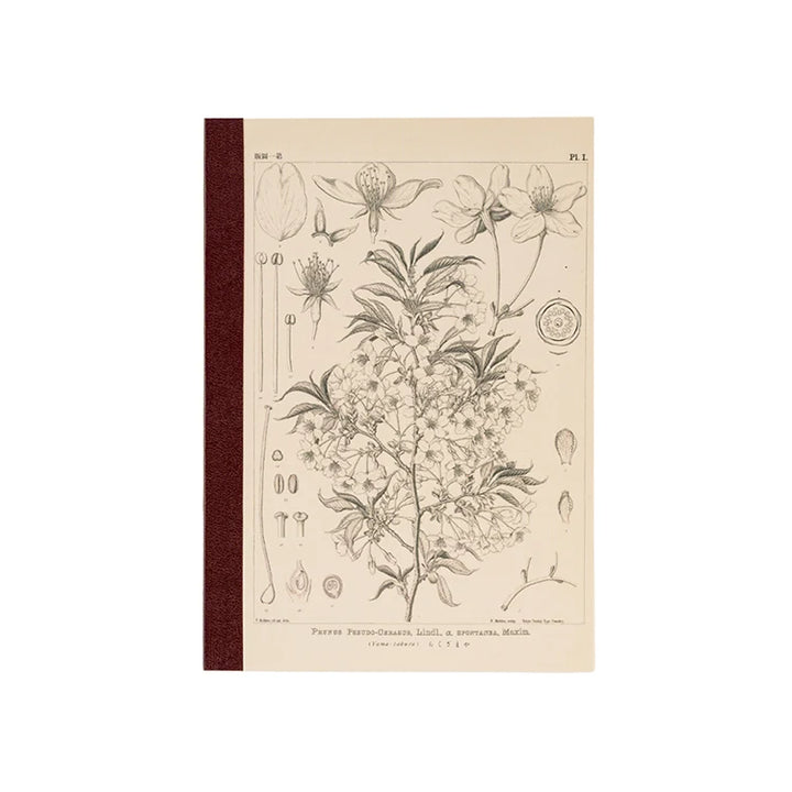Hobonichi Plain Notebook - Yamazakura by Tomitaro Makino (A5 & A6)
