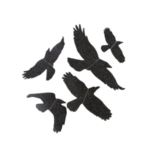Mystical Bag of Ravens