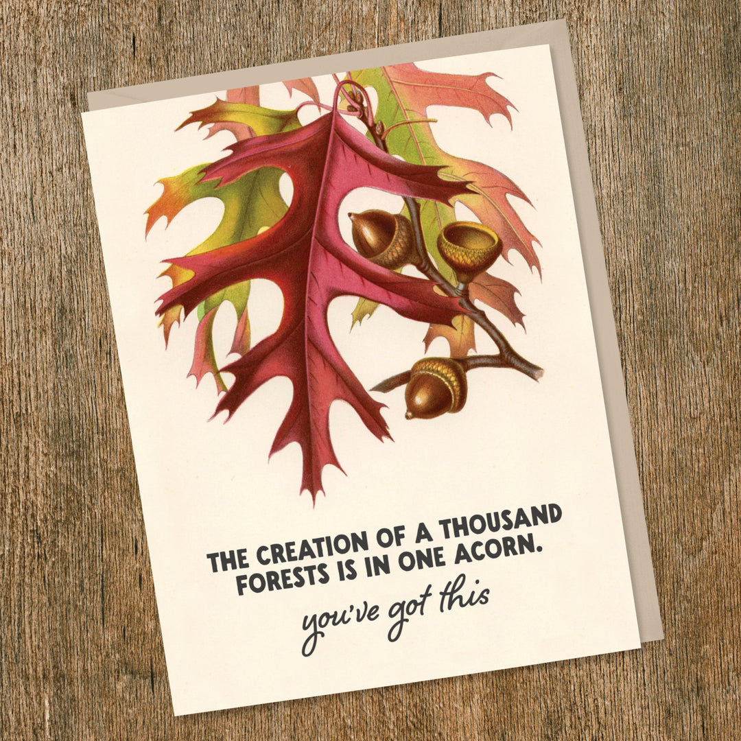 One Acorn Encouragement Card