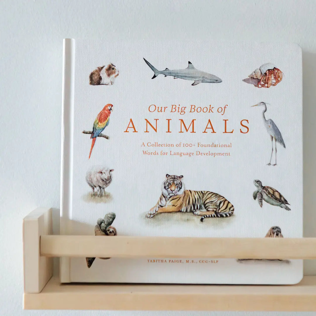 Our Big Book of Animals (Board Book)