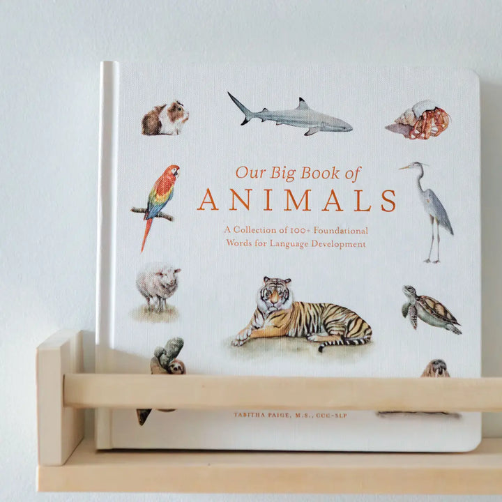 Our Big Book of Animals (Board Book)