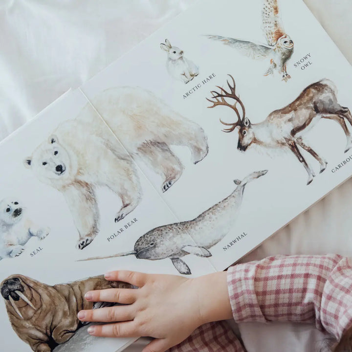 Our Big Book of Animals (Board Book)