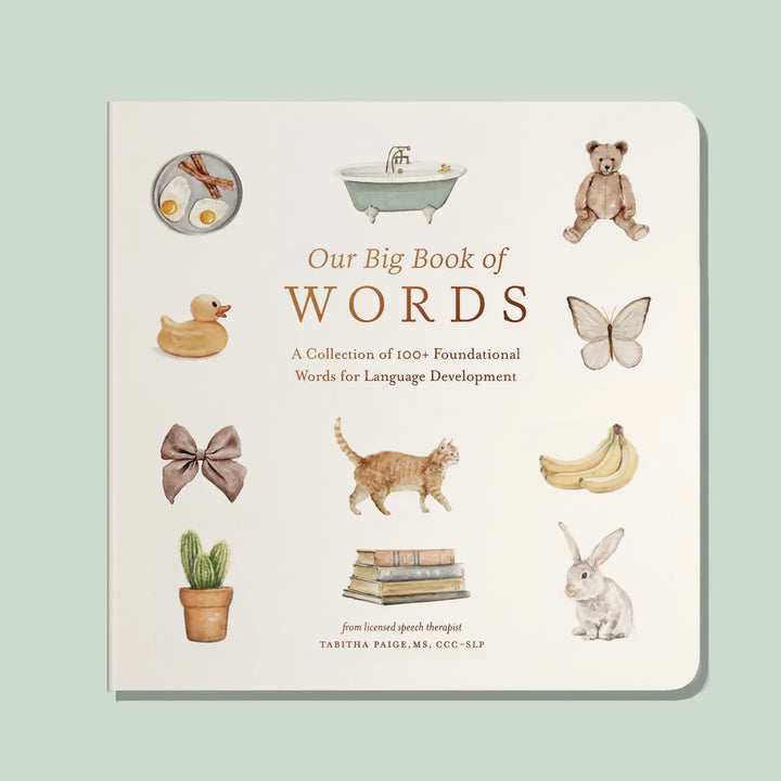 Our Big Book of First Words (Board Book)