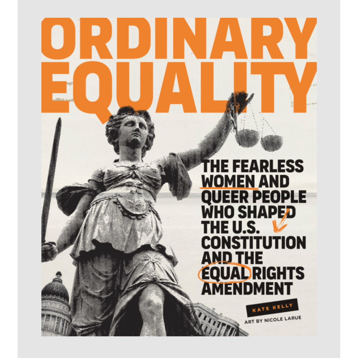 Ordinary Equality Book