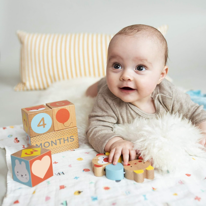 Wooden Milestone Baby Blocks