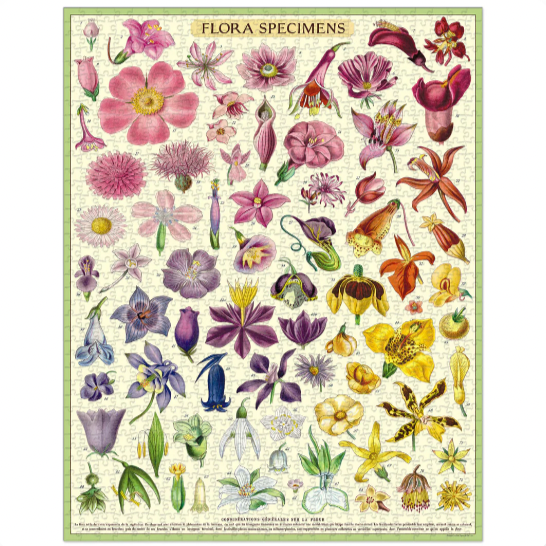 Flora Specimens 1,000 Piece Puzzle