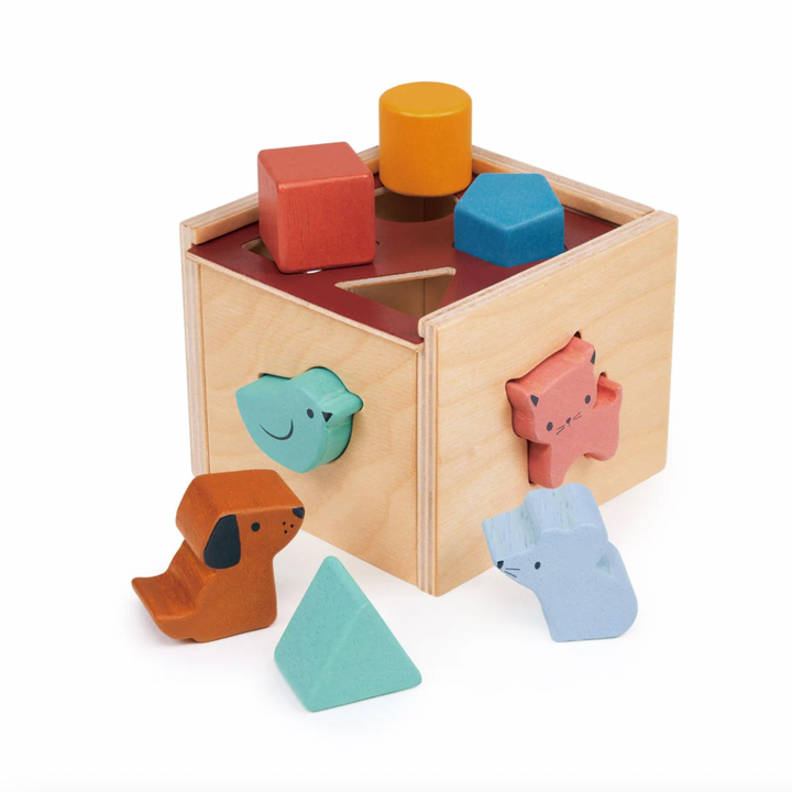 Bambino Shape Sorting Cube
