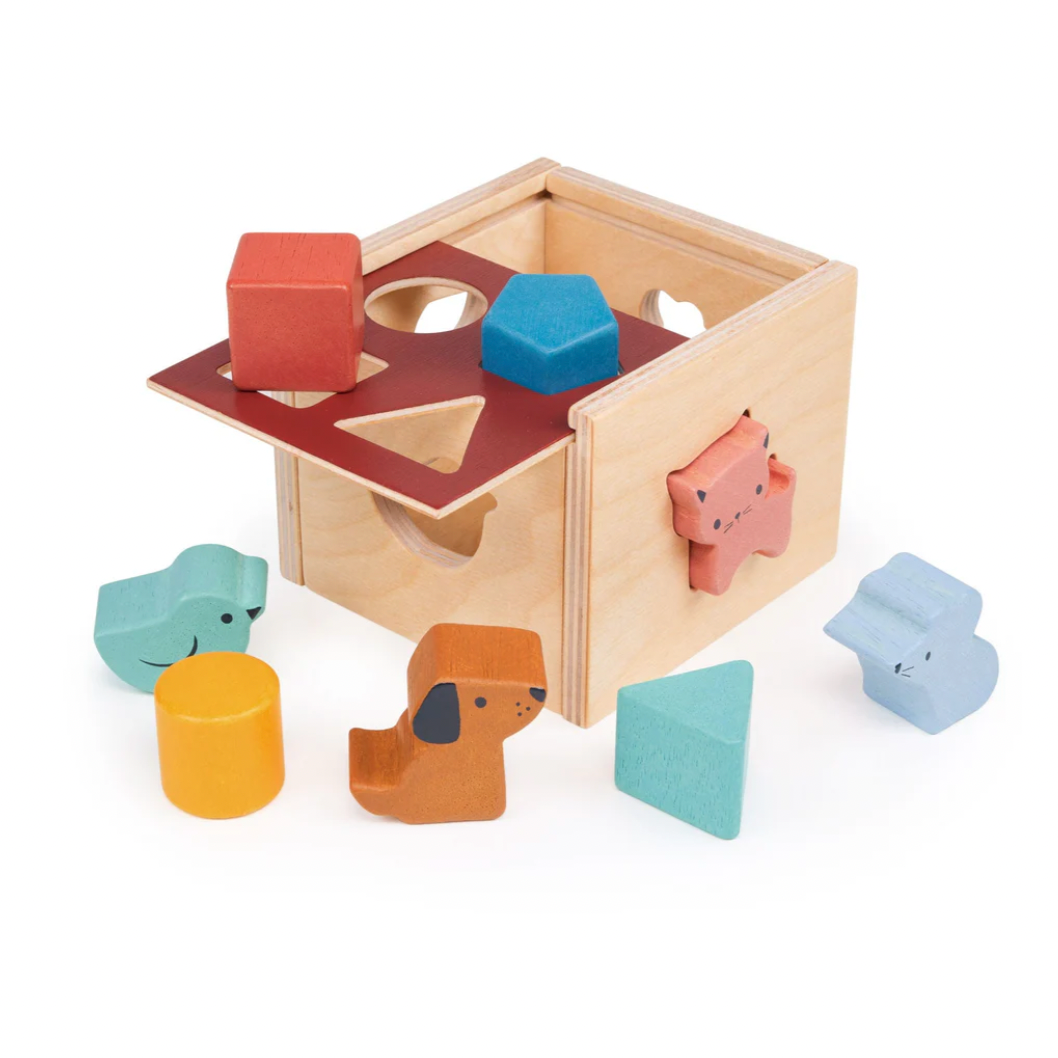 Bambino Shape Sorting Cube