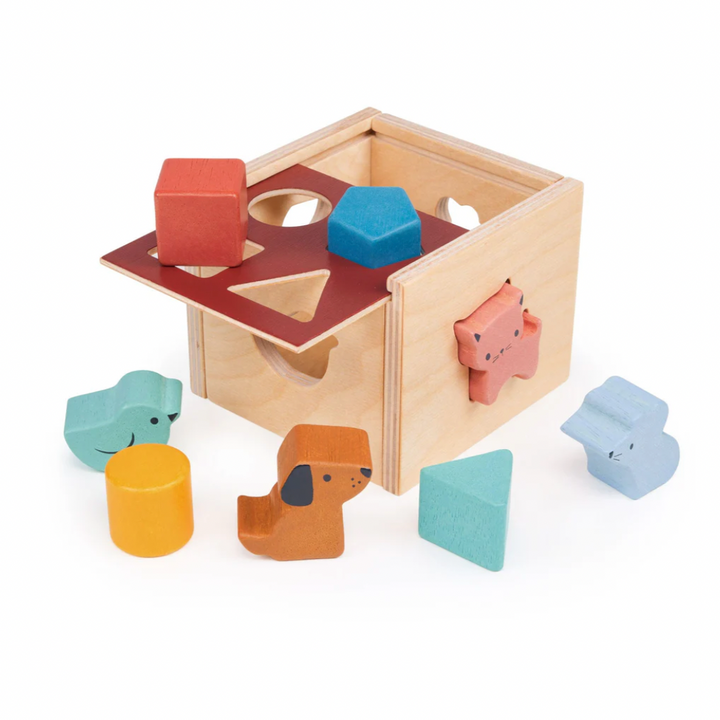 Bambino Shape Sorting Cube